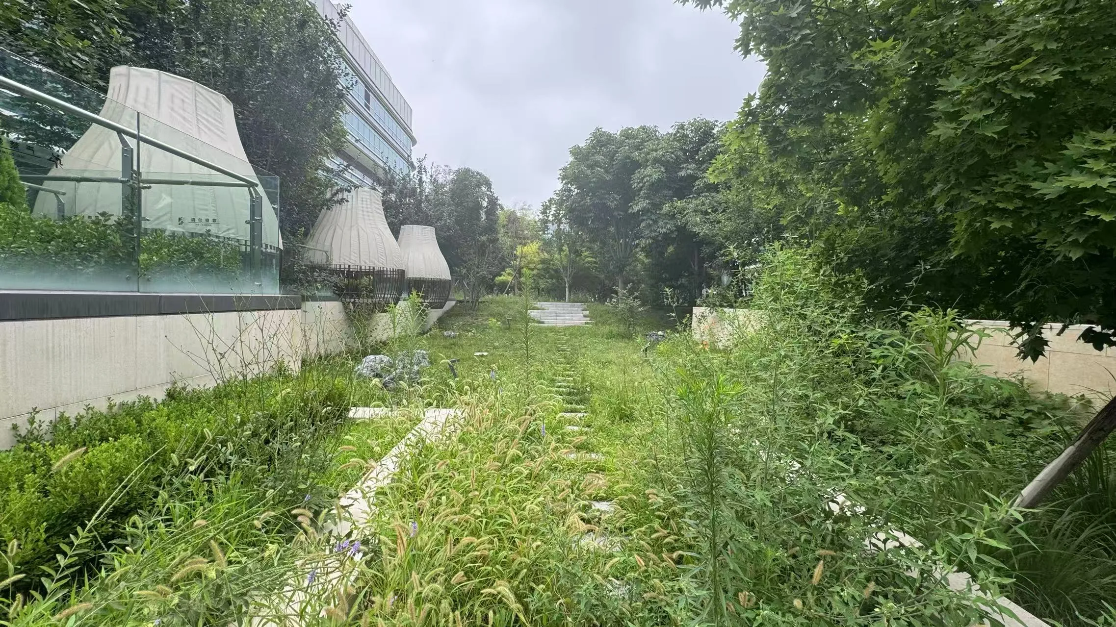 Green corridor at Beijing Daxing Airport Economic Zone Service Center