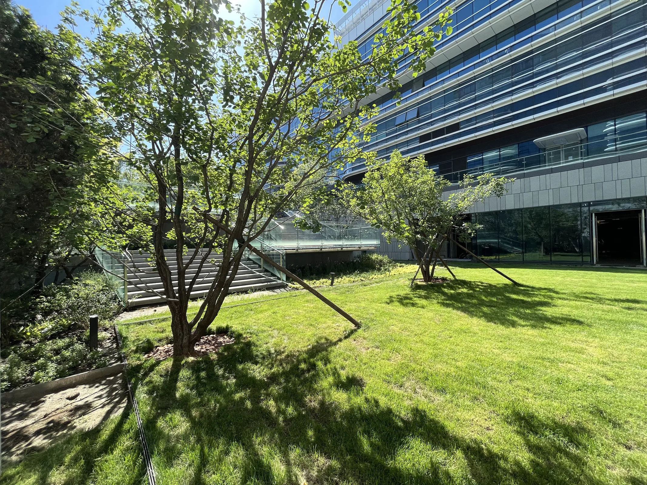 Lawn courtyard at Beijing Daxing Airport Economic Zone Service Center