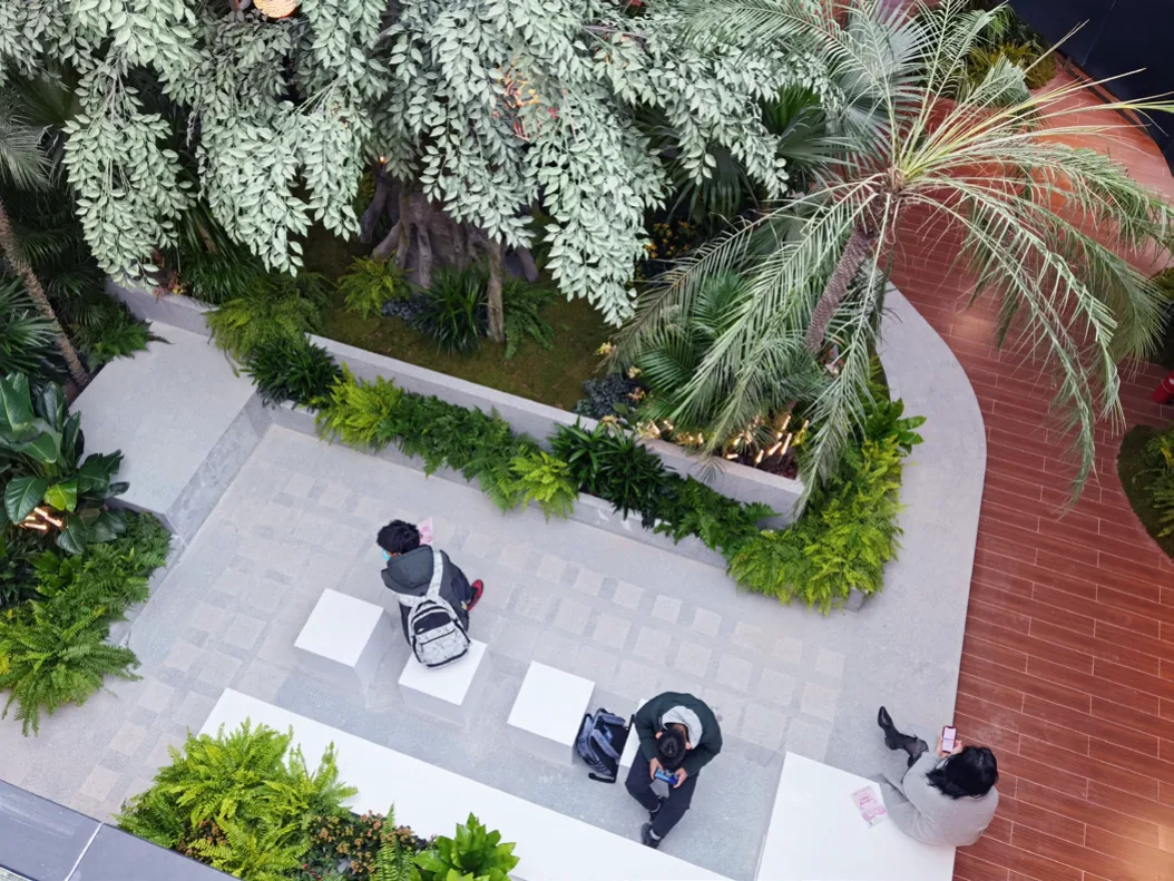 Planting detail at Beijing Daxing Joy Breeze