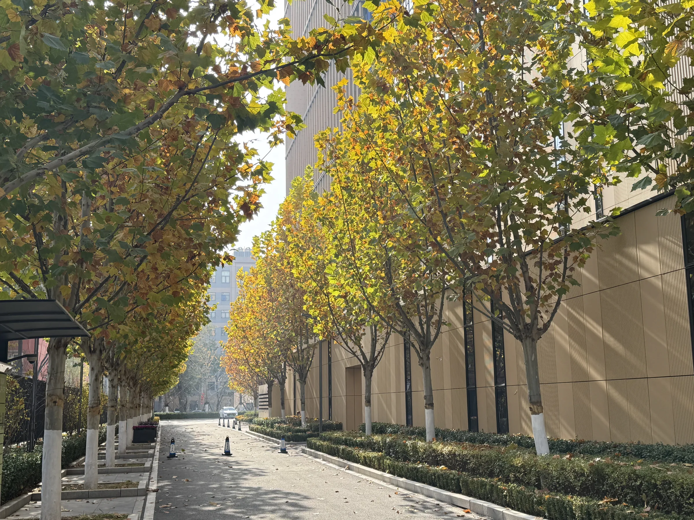 Autumn walkway at Beijing Hevol Tower