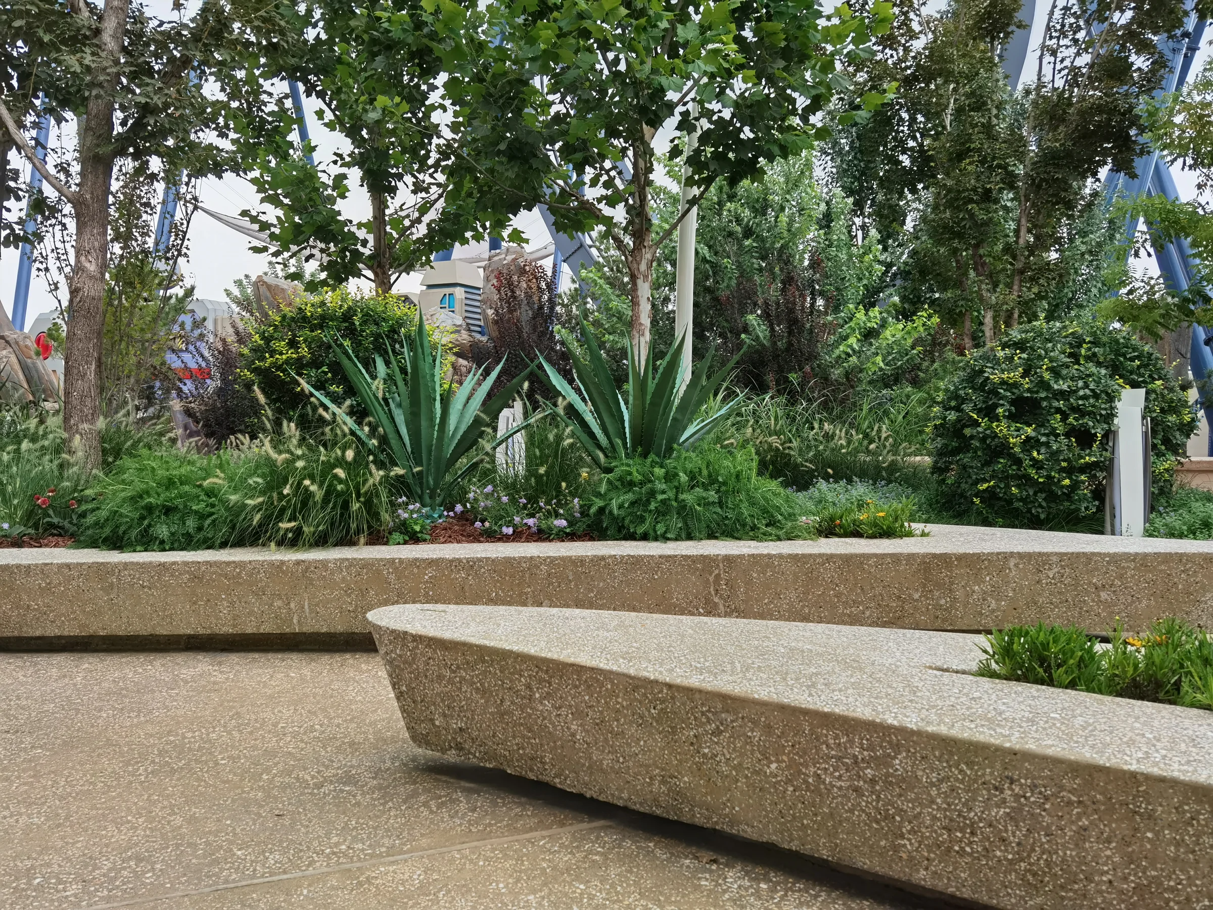 Planted streetscape in the Hollywood zone