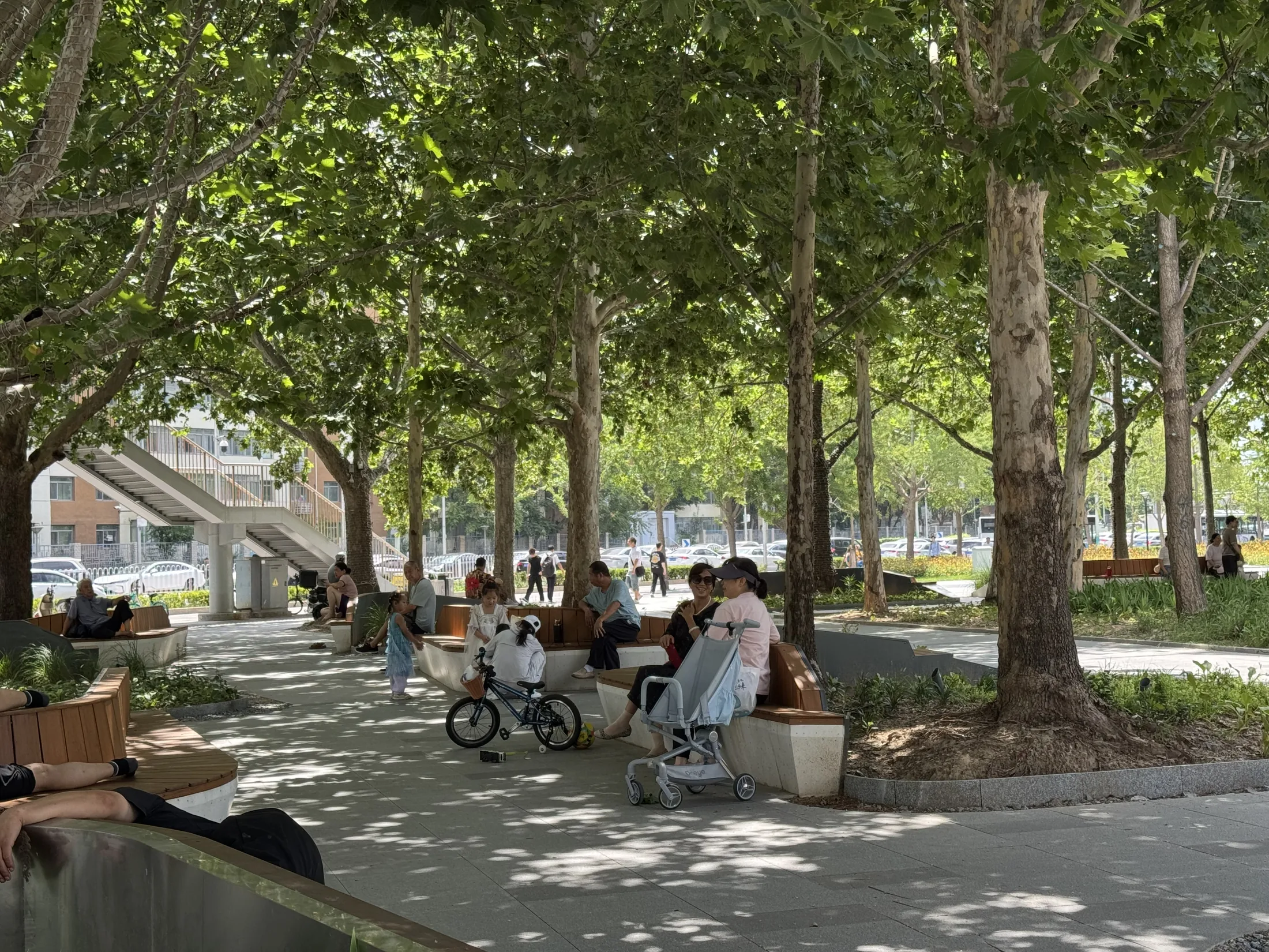 Shaded seating beneath mature trees at Beijing Zhongguancun West