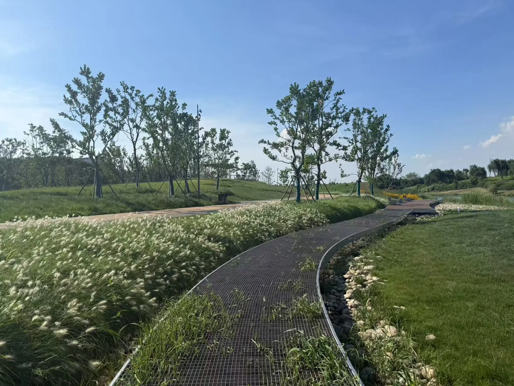 Meadow path at Changzhou Changbei Riverfront Landscape Belt