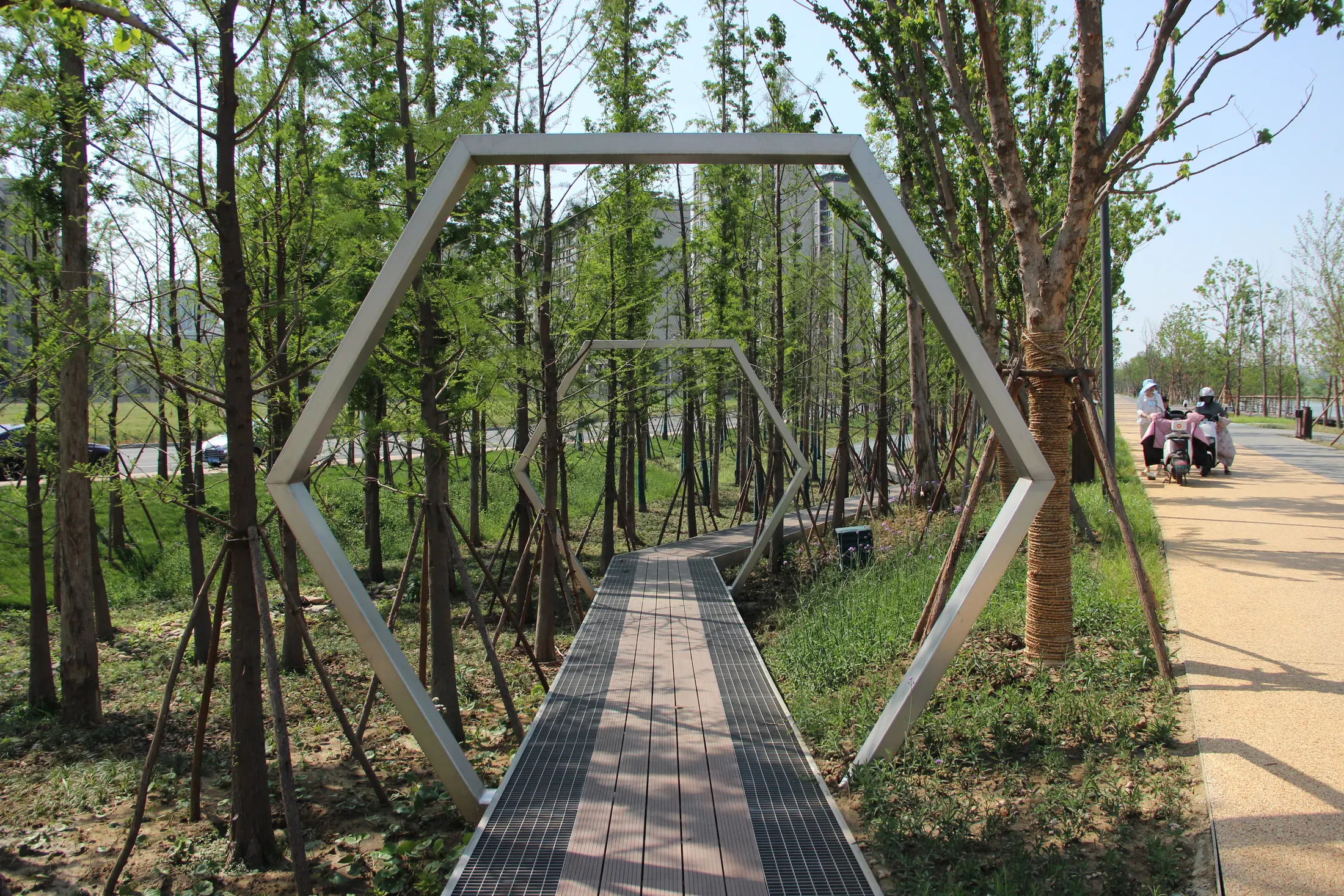 Woodland boardwalk at Changzhou Changbei Riverfront Landscape Belt