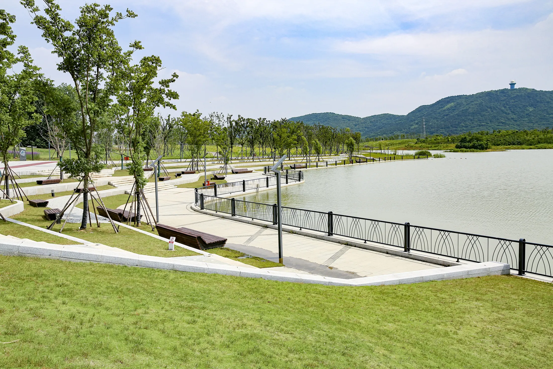 Wetland boardwalk at Nanjing Xingzhuang Wetland Park