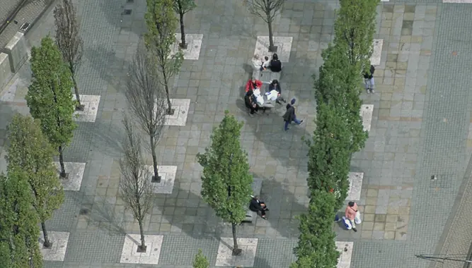 Woodland promenade at Genghis Khan International Sports Park