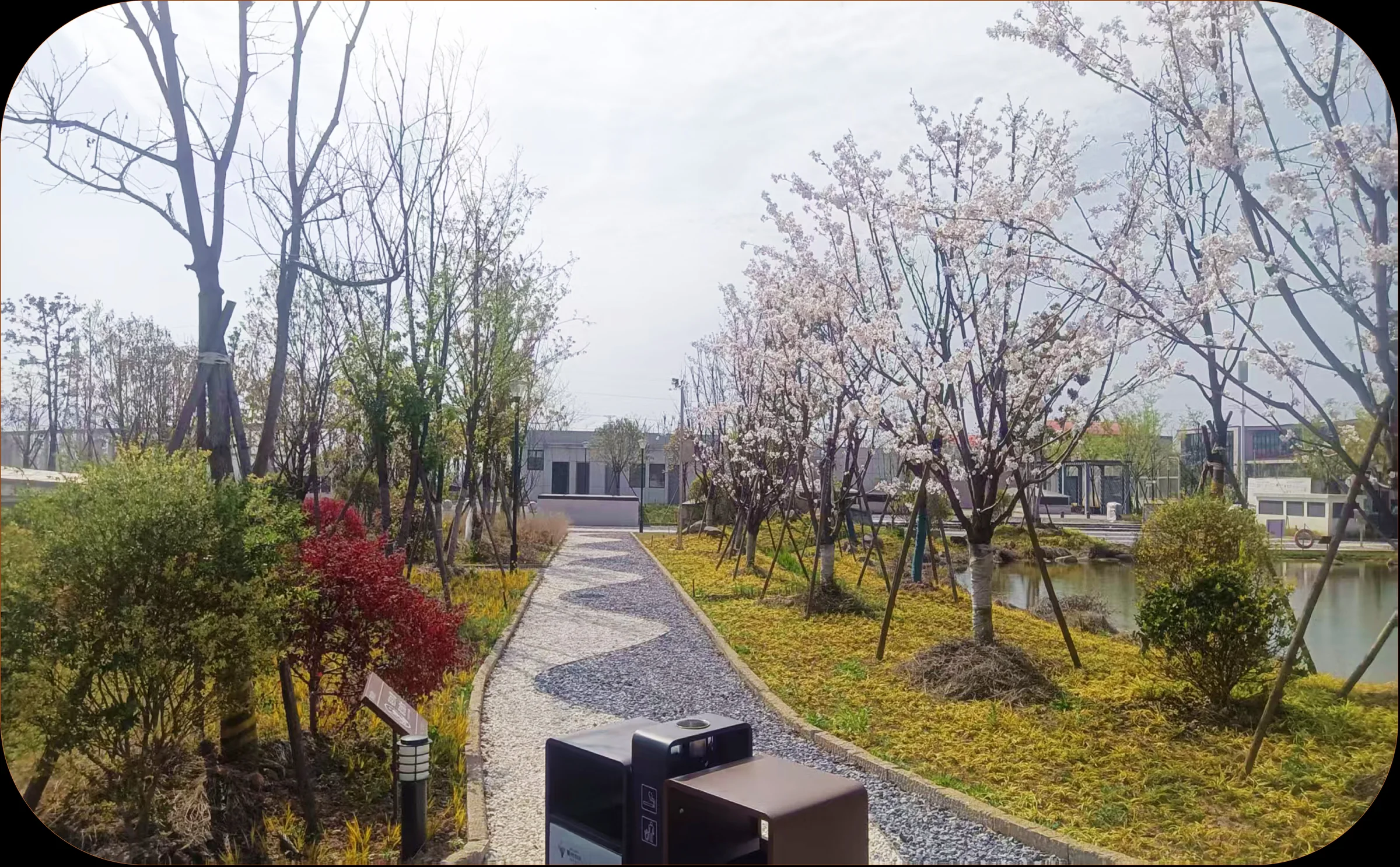 Flowering path at Quzhou Ecological Research Wetland Park
