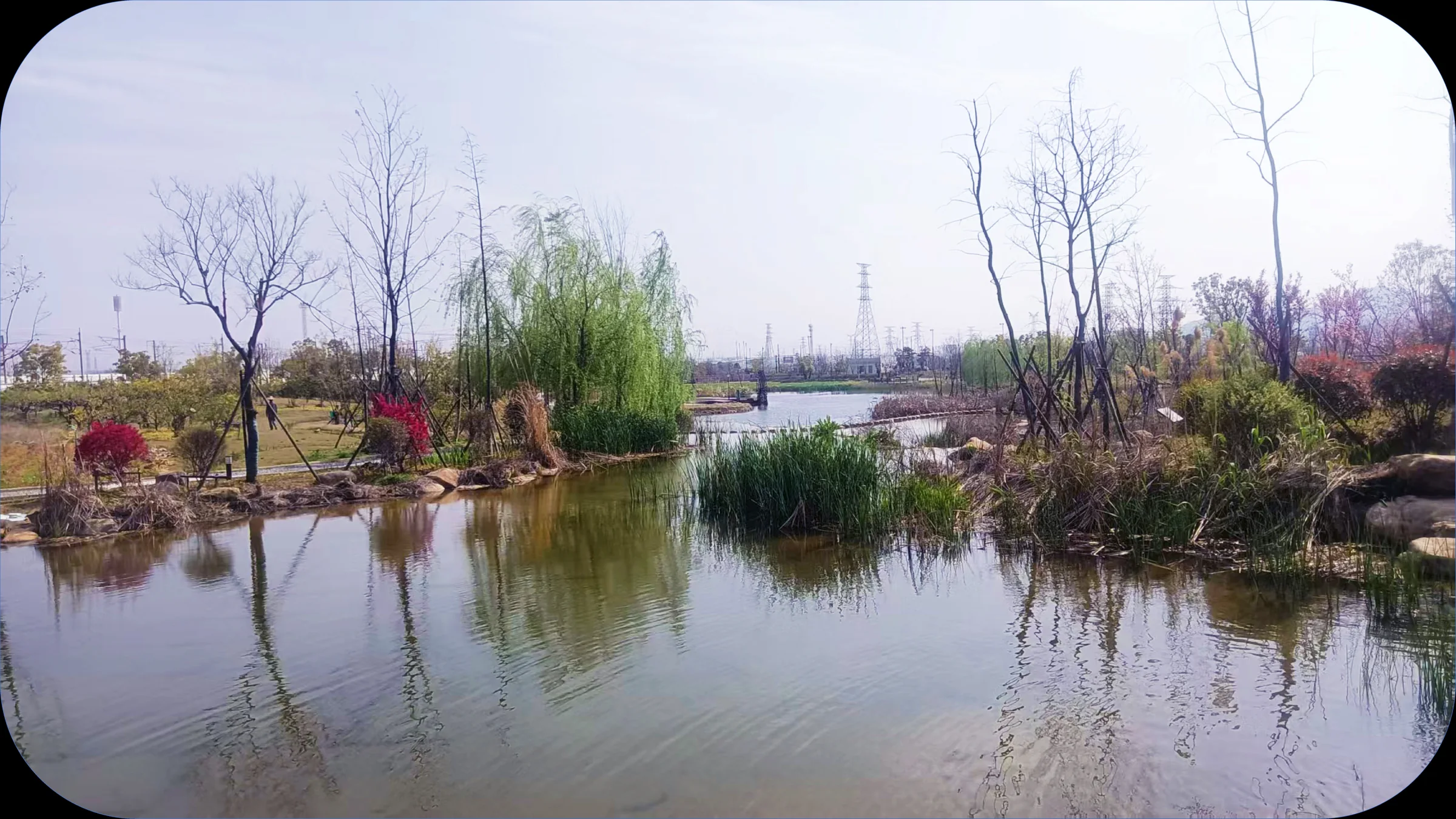 Wetland pond at Quzhou Ecological Research Wetland Park