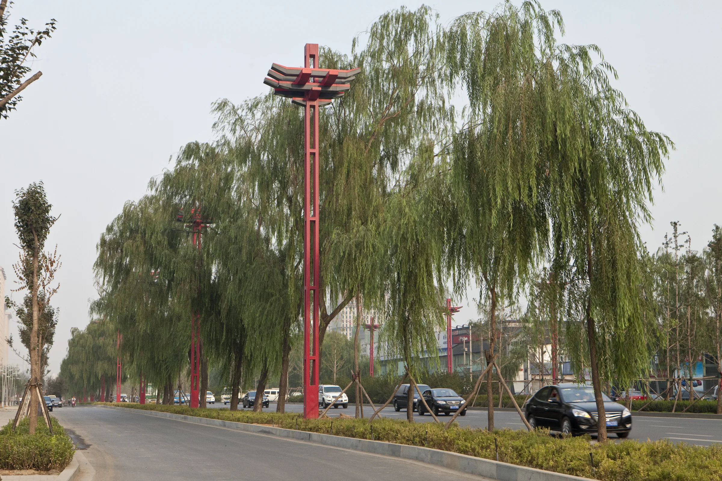 Roadside planting at Taiyuan Changfeng West Street