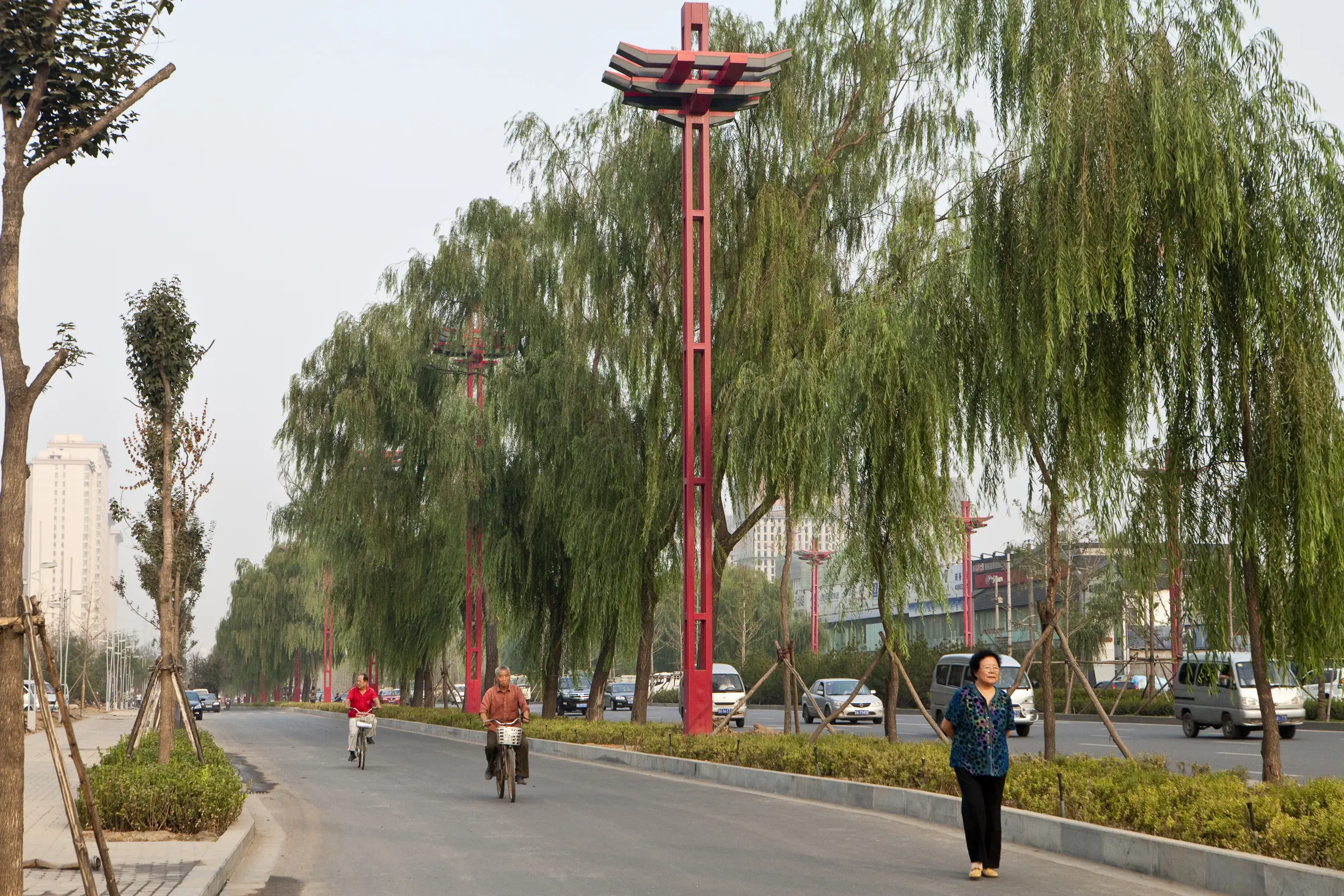 Street planting at Taiyuan Changfeng West Street