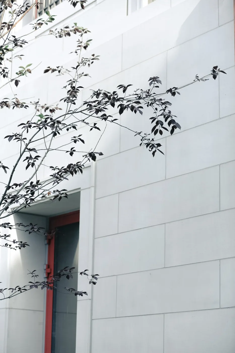 Landscape detail at Tsinghua Schwarzman College