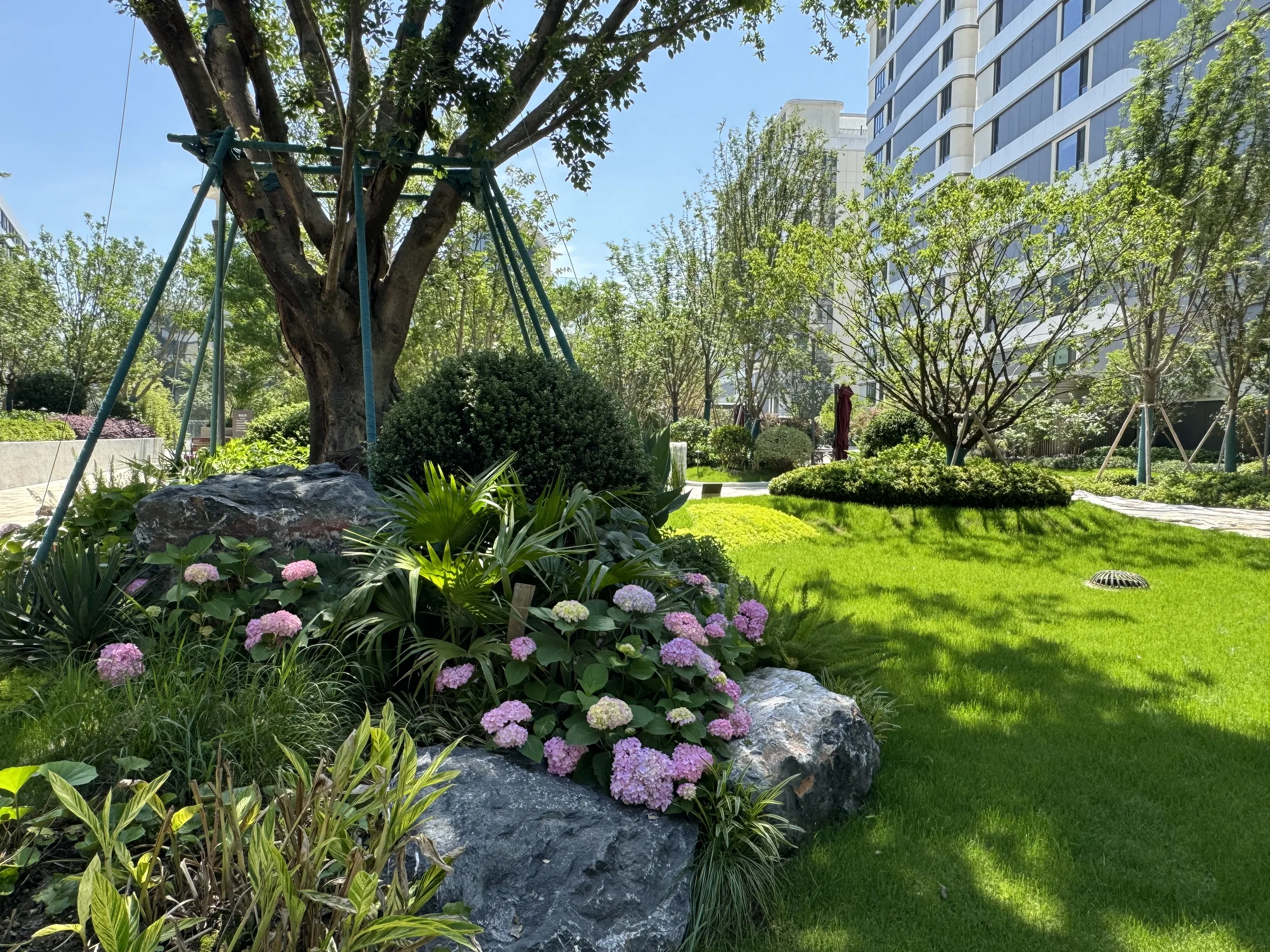 Flowering garden at Wenzhou Taikang Ouyuan