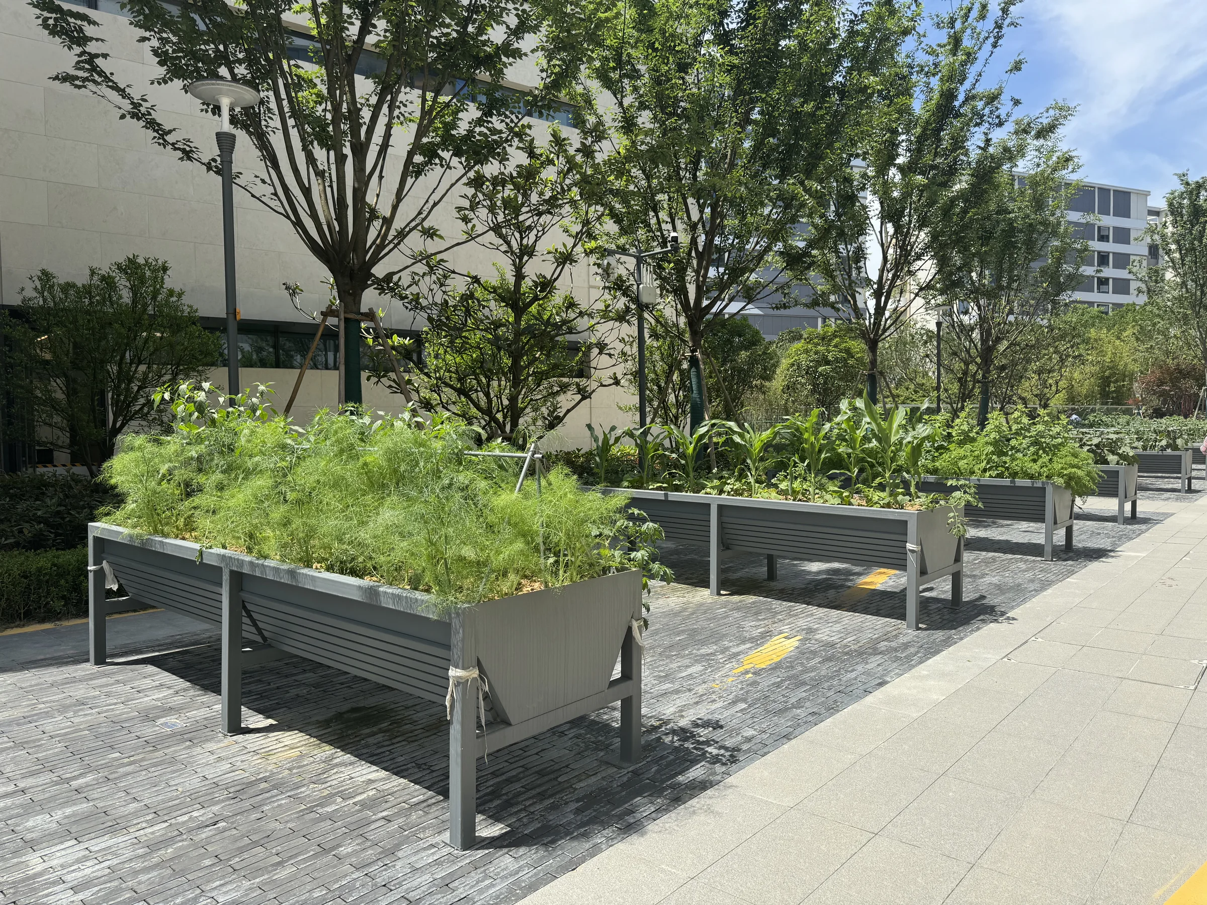 Seating garden at Wenzhou Taikang Ouyuan