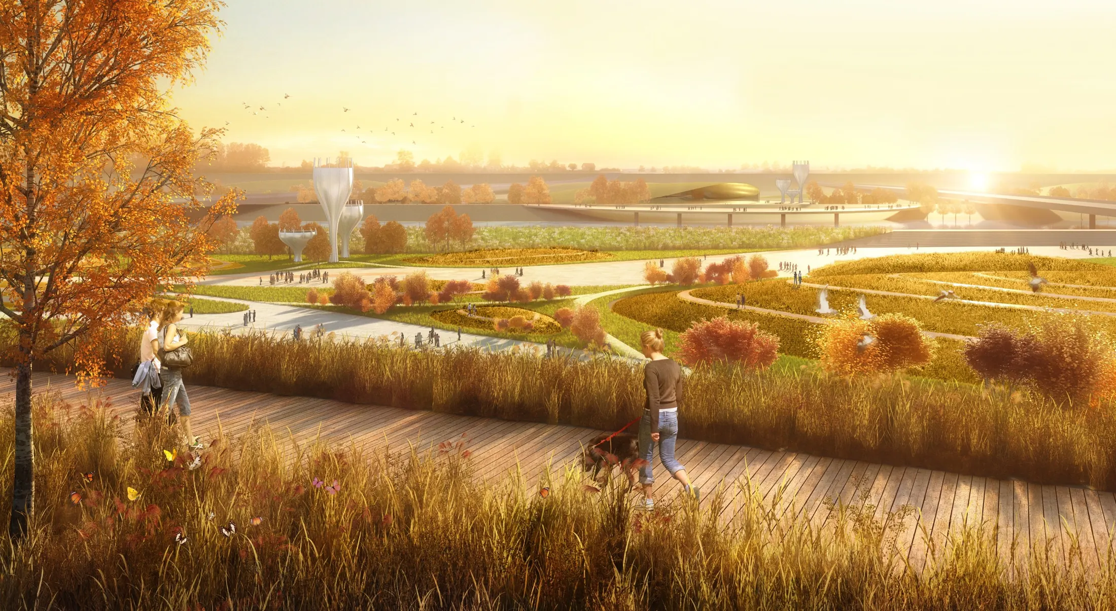 Wetland edge in Xiong'an ecological levee concept
