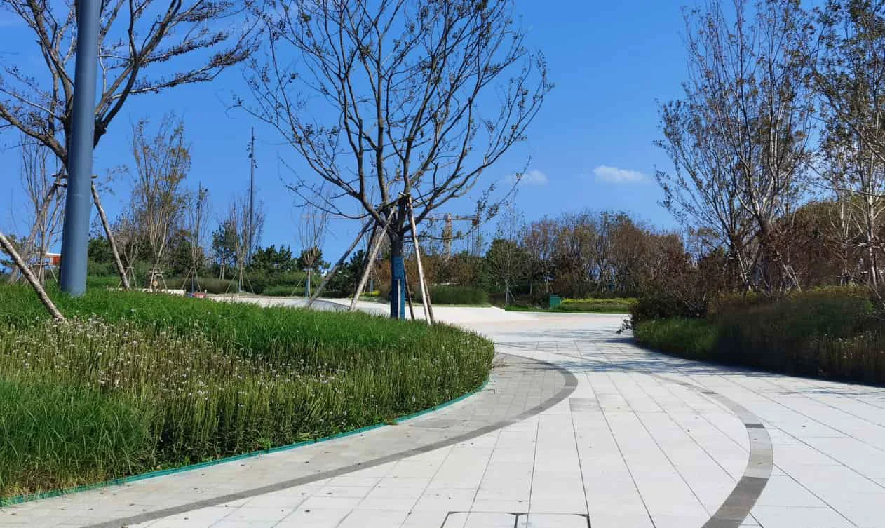 Planted promenade at Yantai Golden Beach