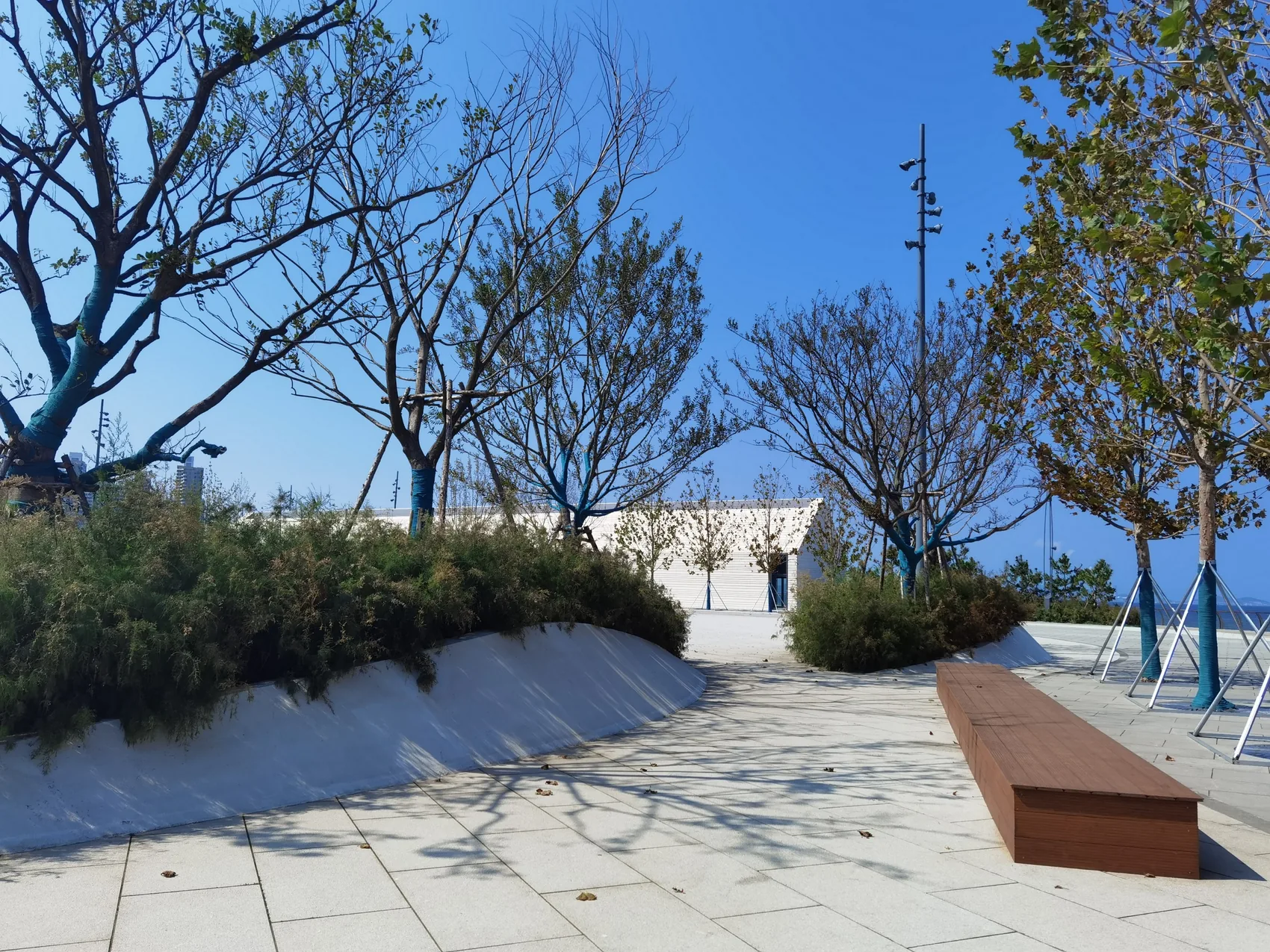 Promenade and planting at Yantai Golden Beach