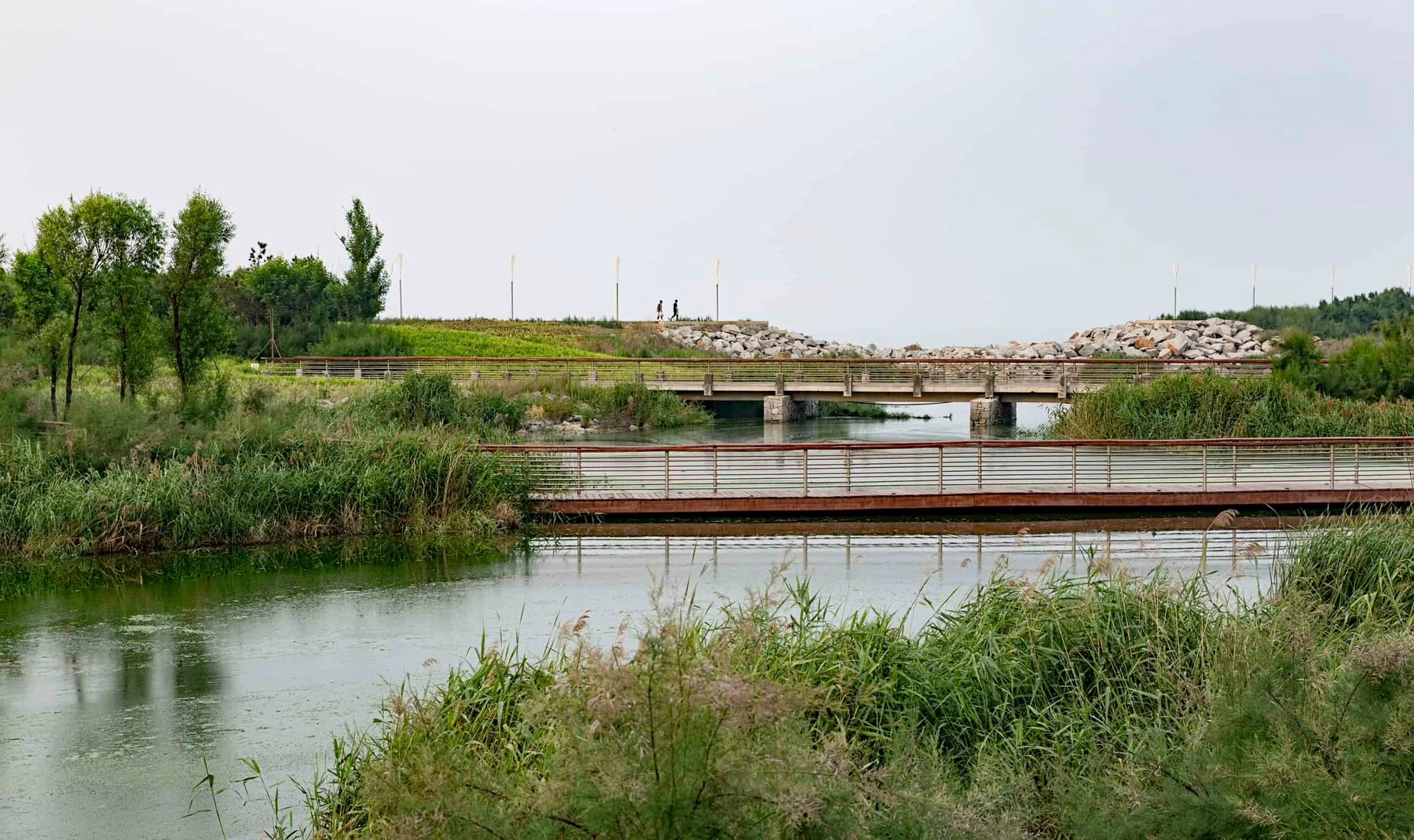 Wetland edge at Yantai Golden Beach