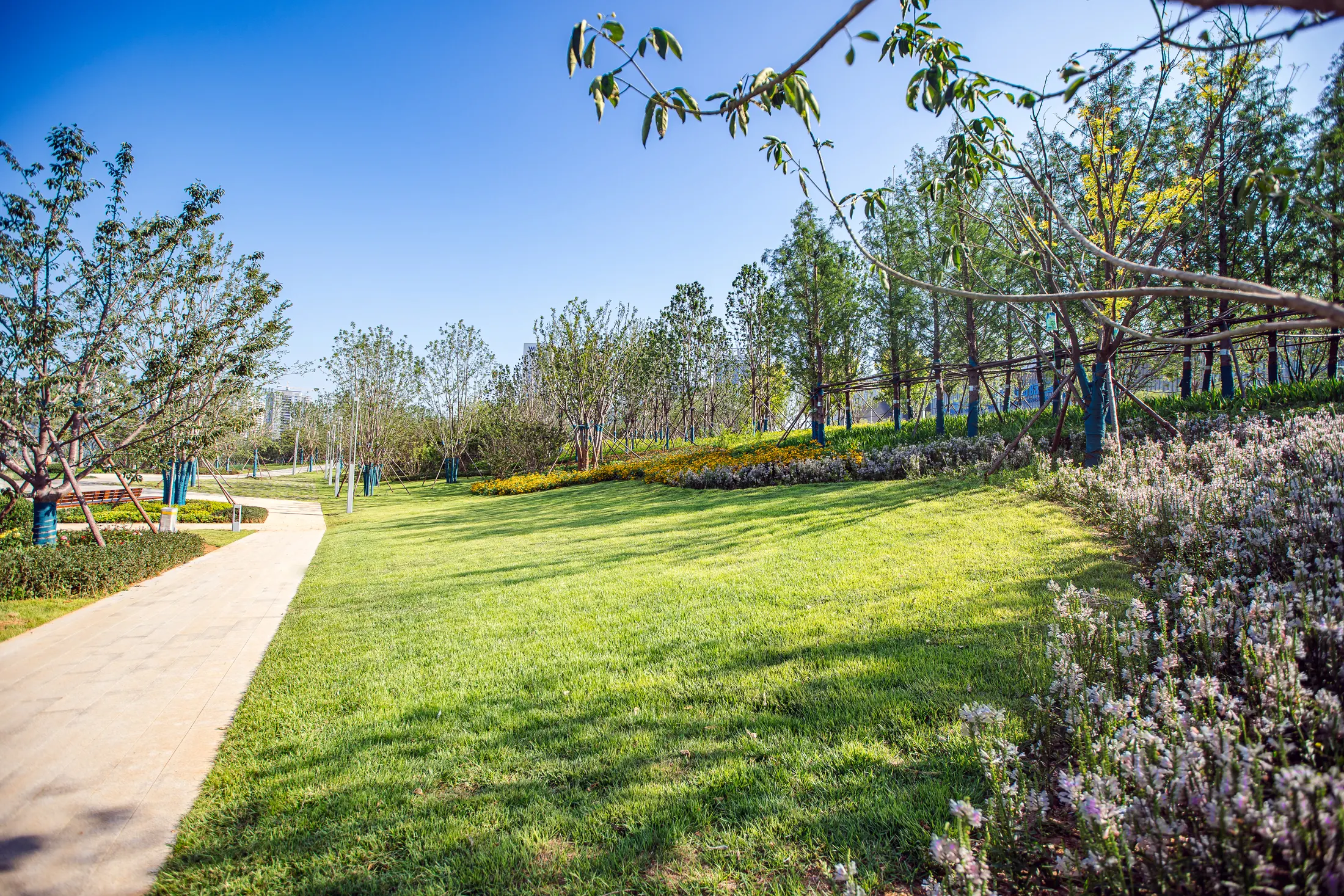 Garden path at Yantai International Convention Center Coastal Park
