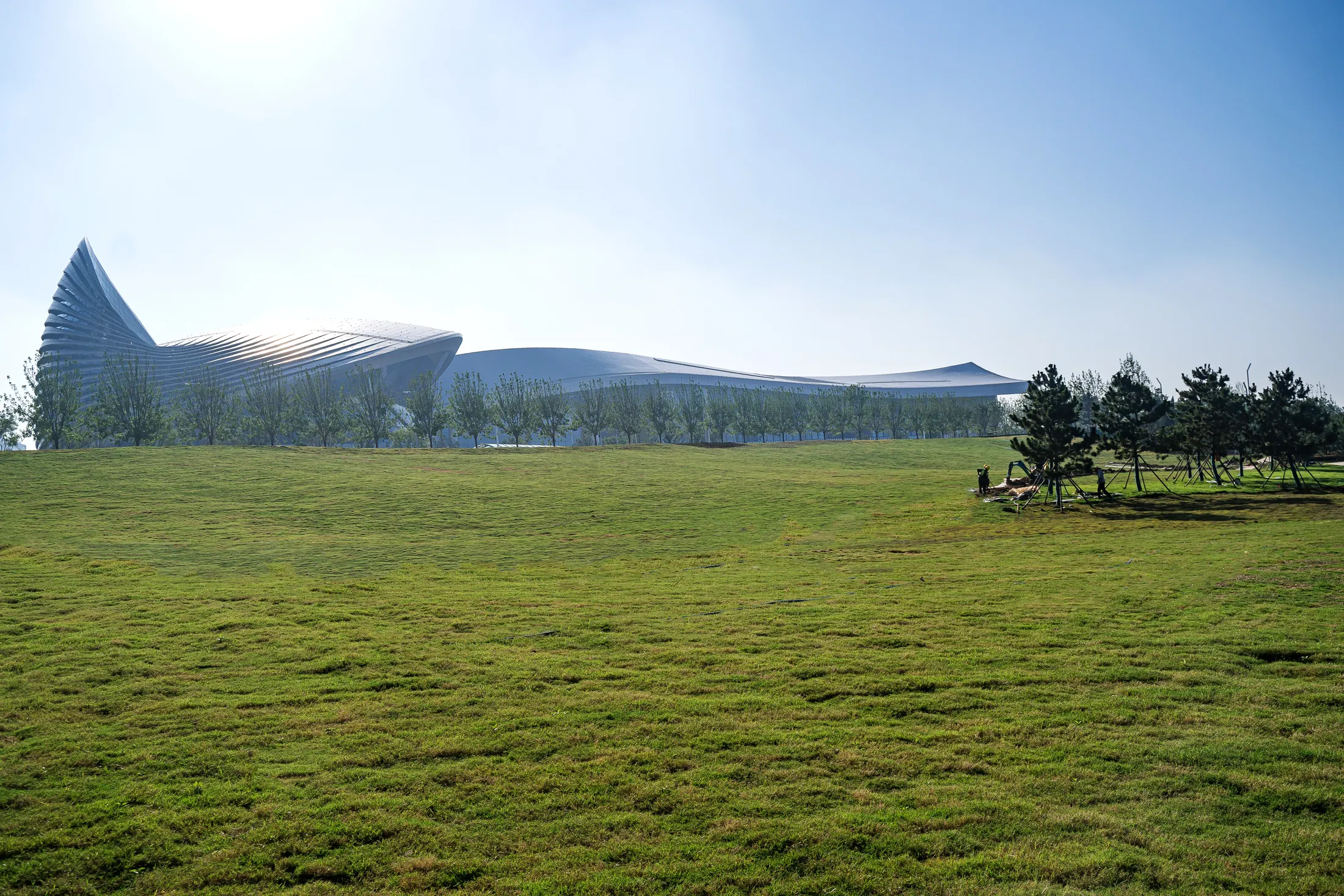 Open lawn at Yantai International Convention Center Coastal Park