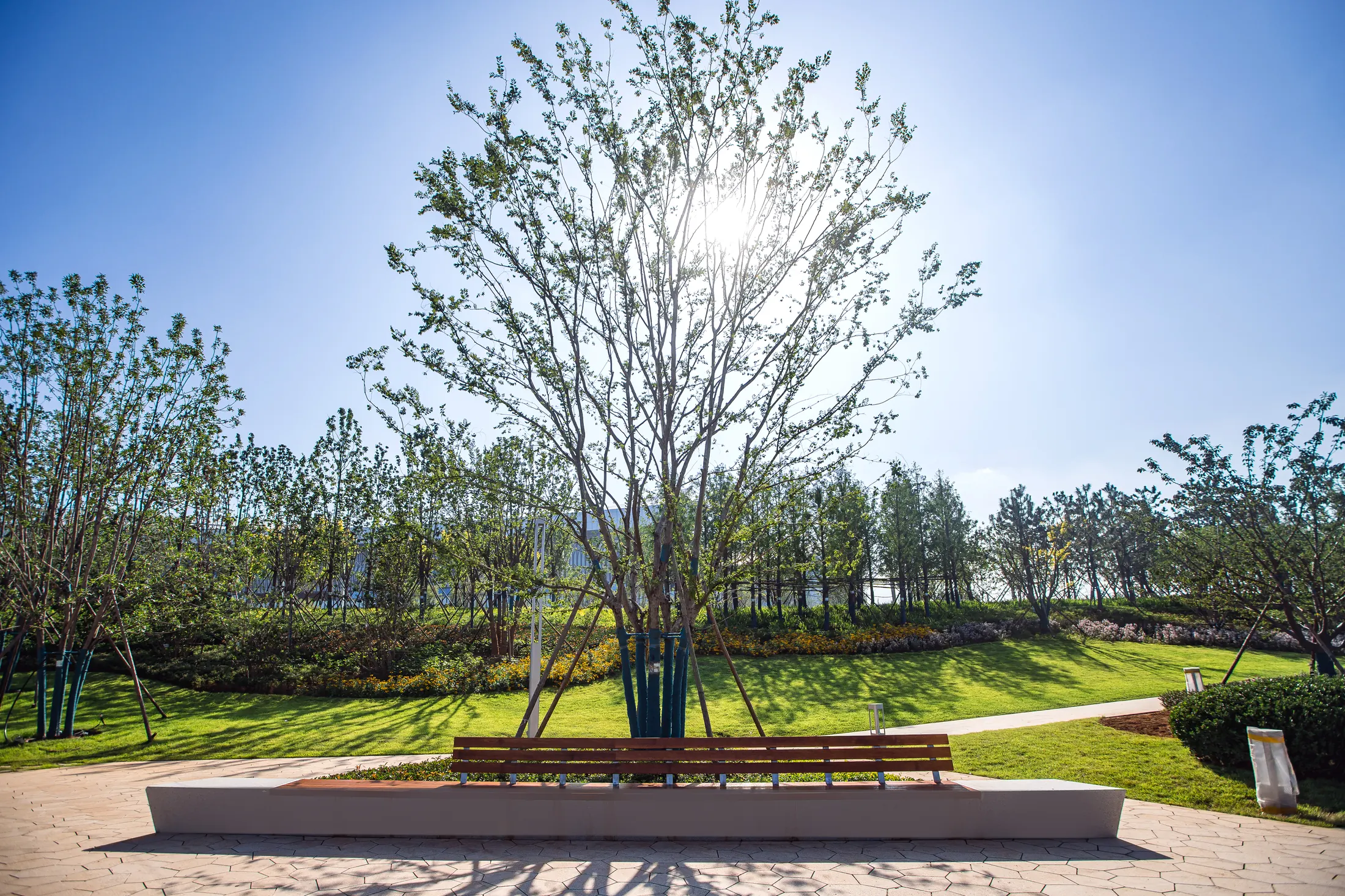 Park seating and planting at Yantai International Convention Center Coastal Park